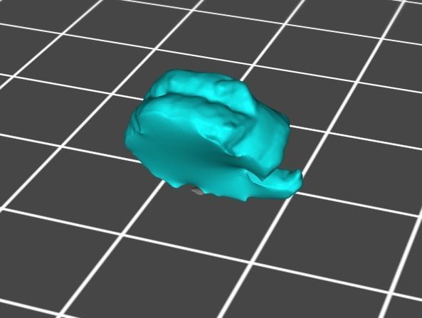 Small Cooked Shrimp  3D print model_3