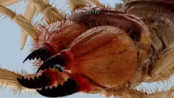 Monstrous Solifugae Low-poly 3D model