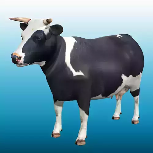 Cow Rig Low-poly 3D model