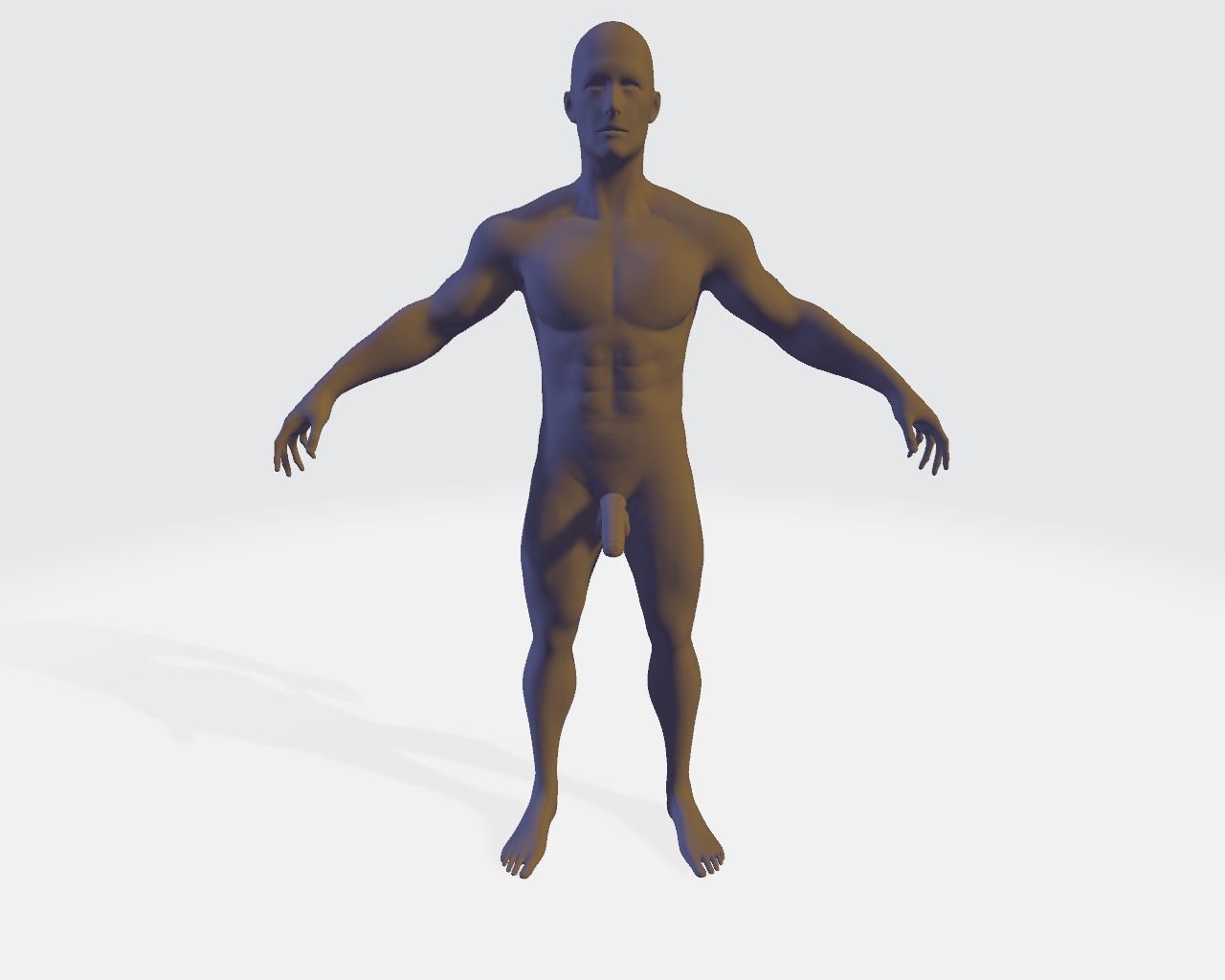 nude male basemesh 3D model_1