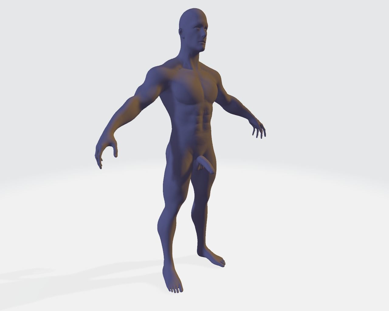 nude male basemesh 3D model_3