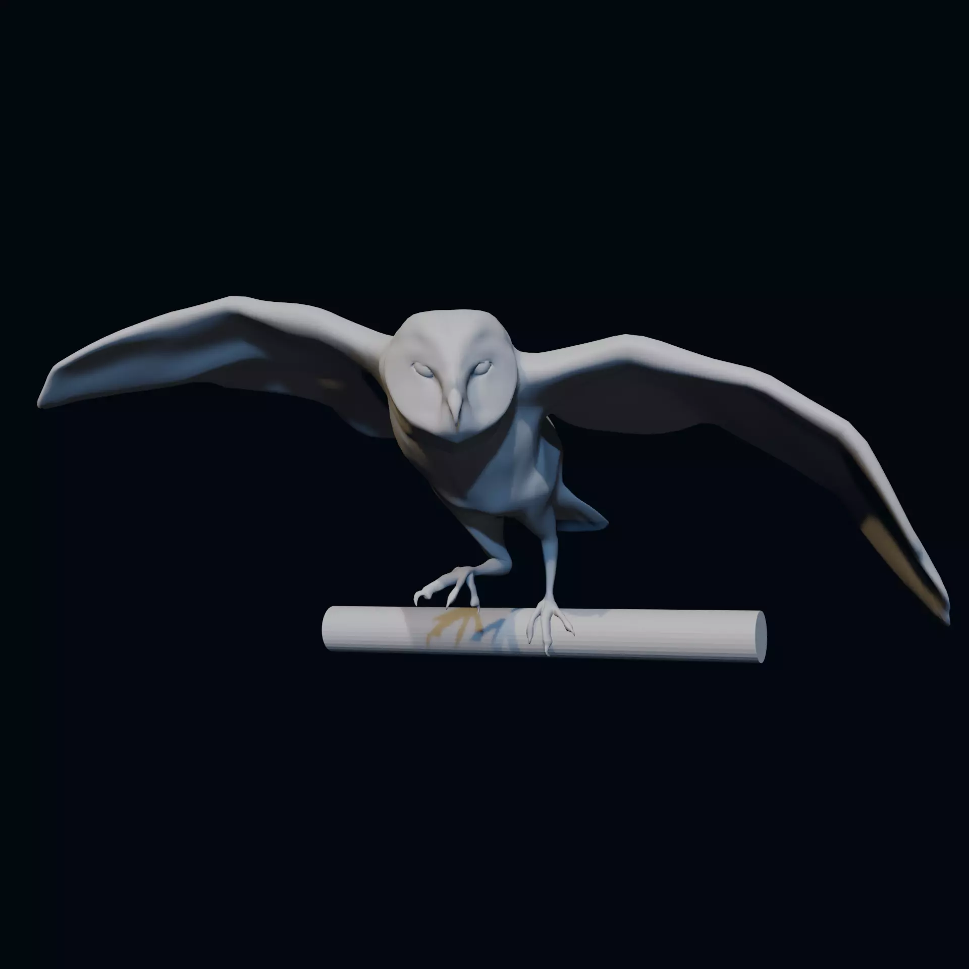 Barn Owl Free 3D model