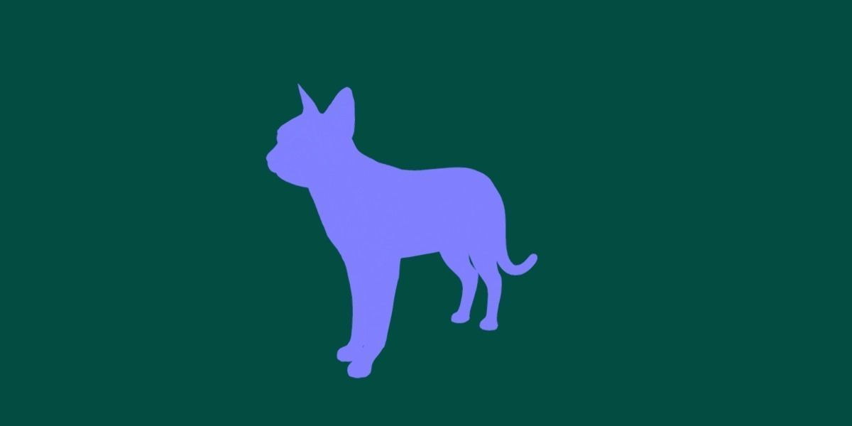 Abyssinian Cat 3D model_7