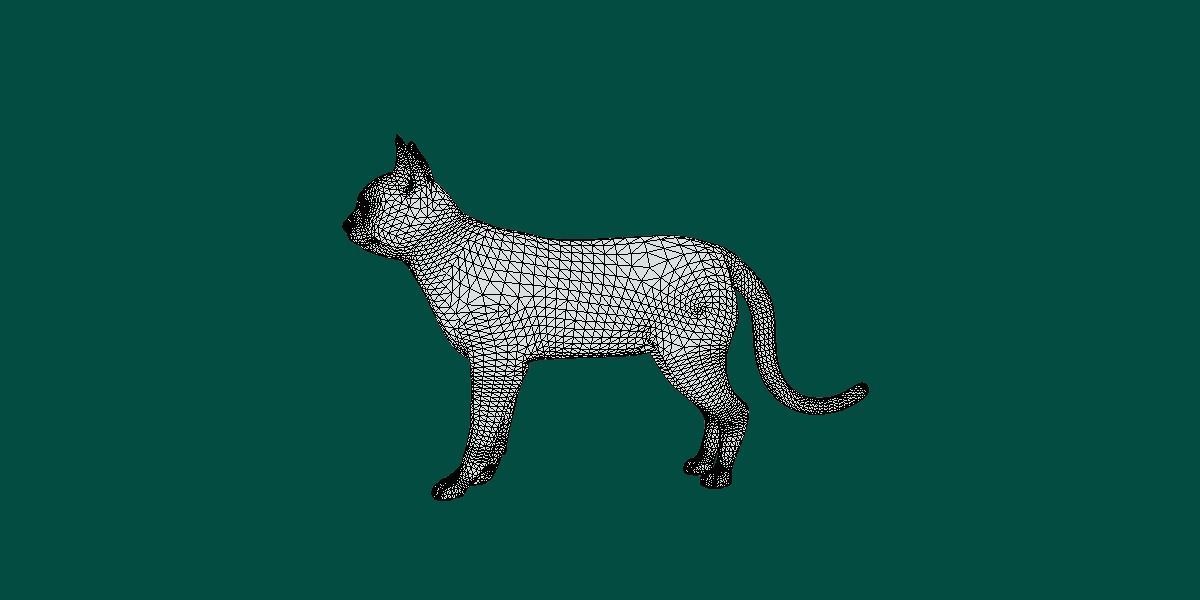 Abyssinian Cat 3D model_9