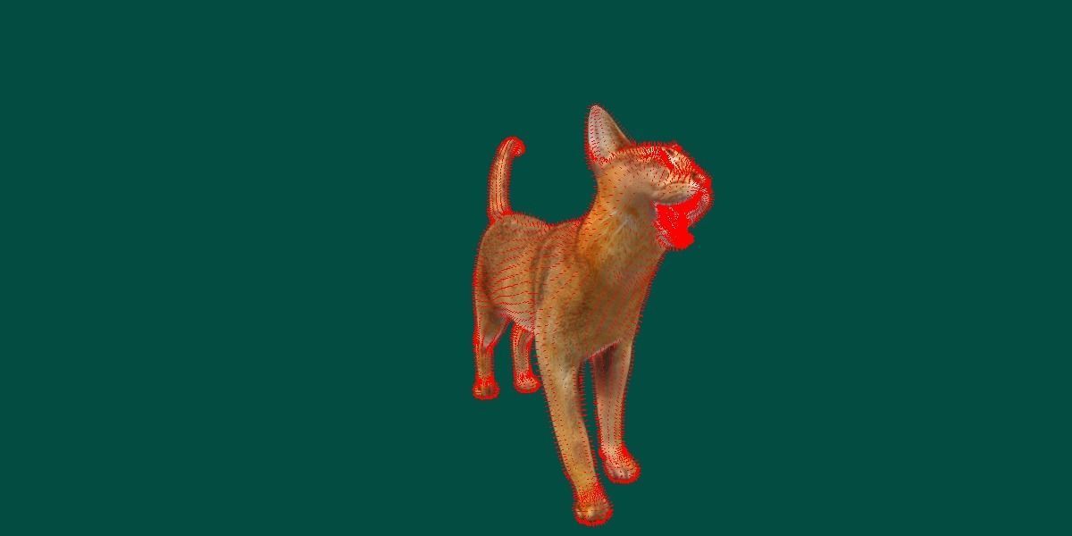 Abyssinian Cat 3D model_10