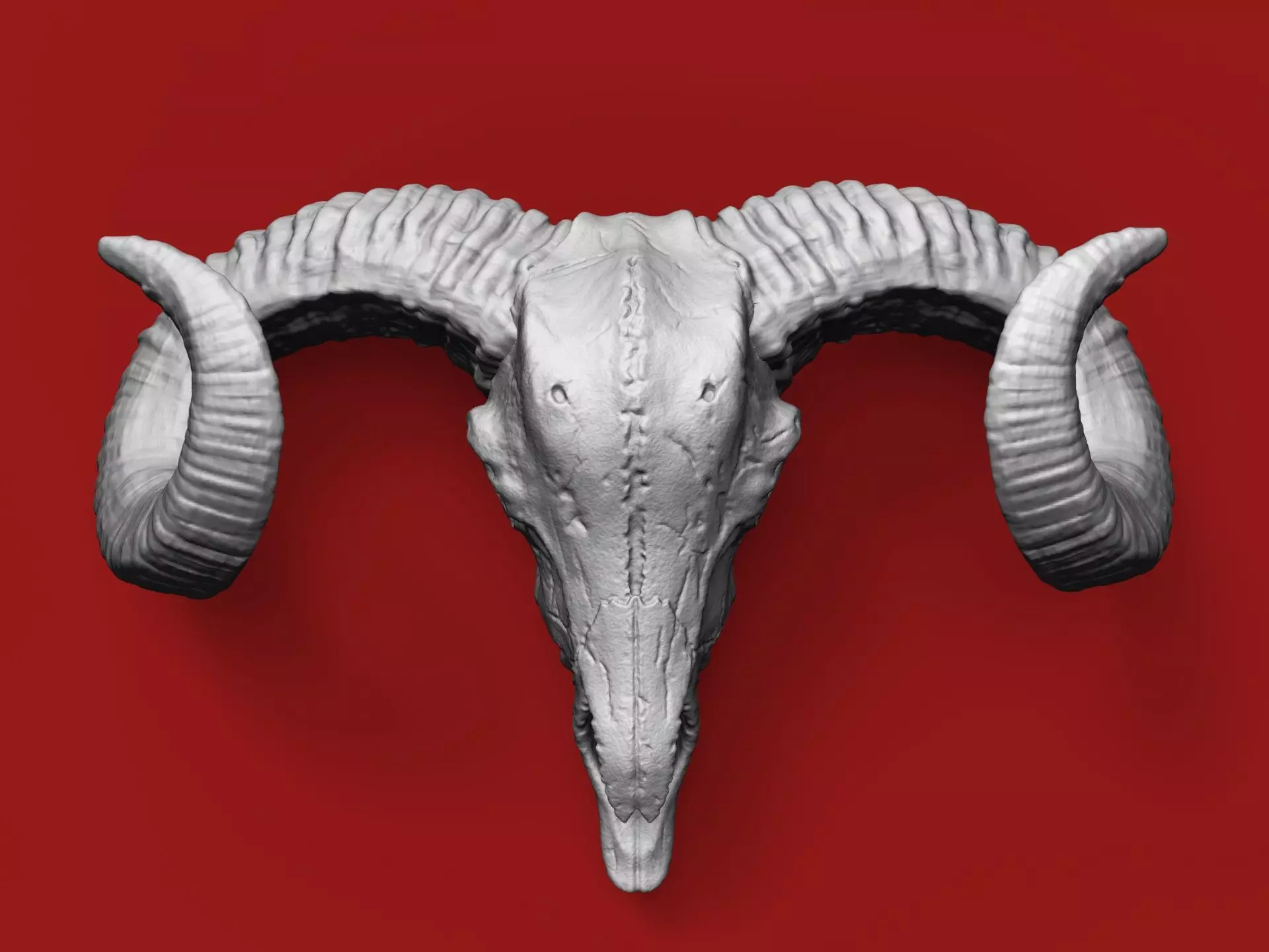Ram skull 3D print model
