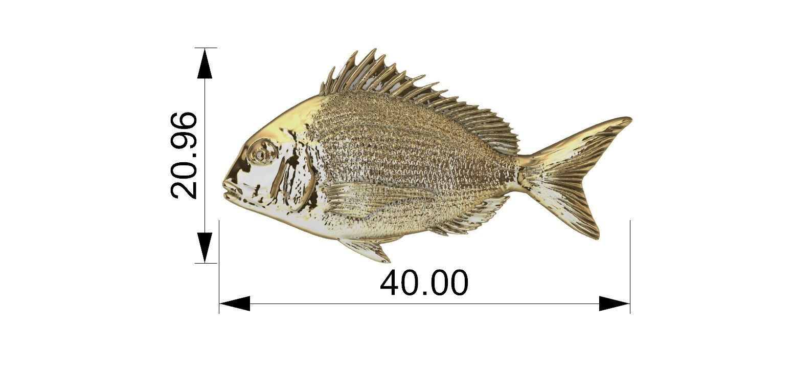 Fish Tilapia Relief 3D print model_11