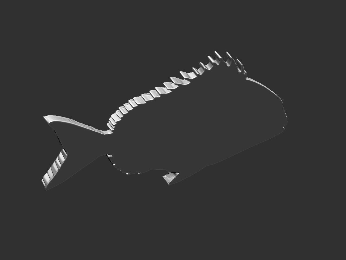 Fish Tilapia Relief 3D print model_5