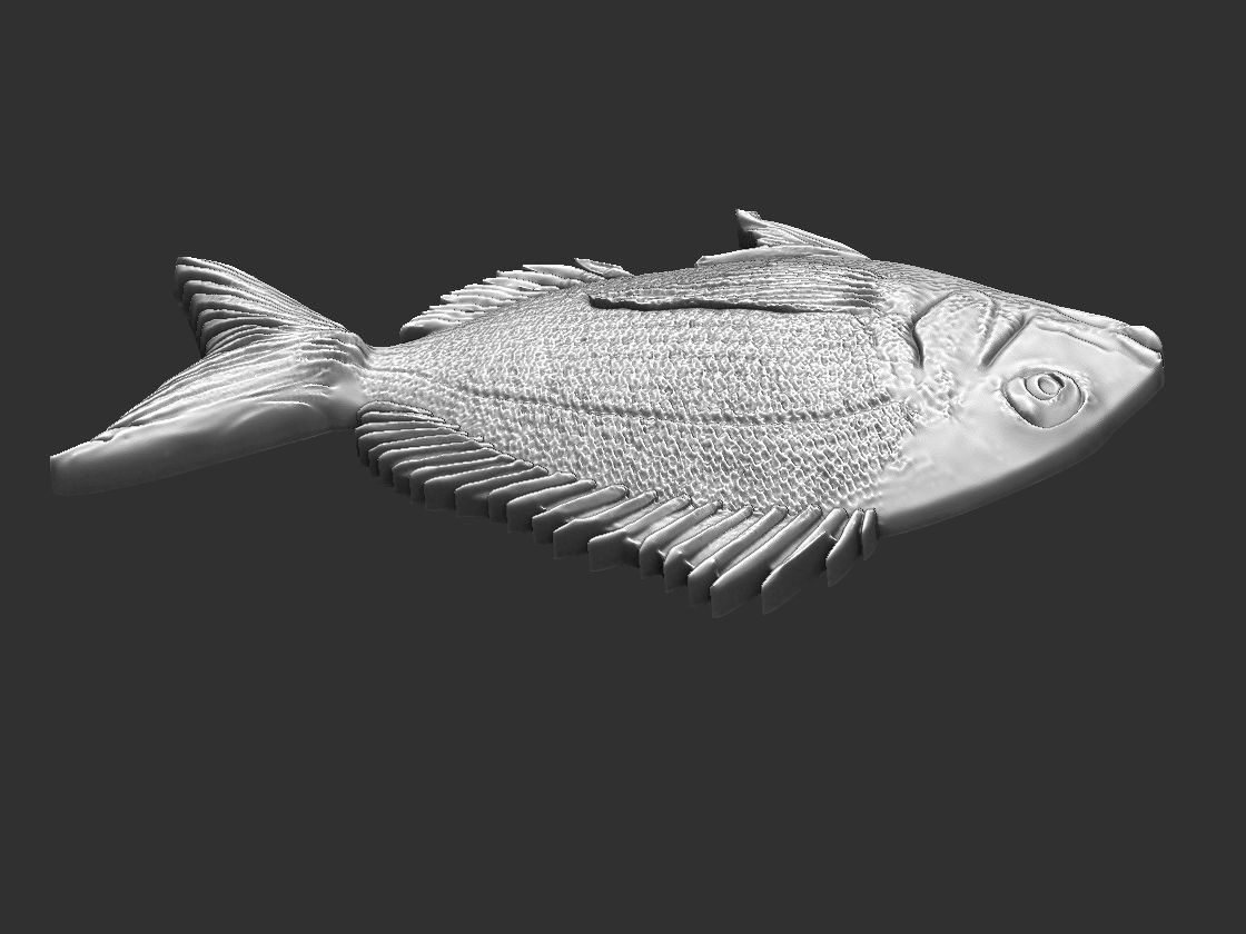 Fish Tilapia Relief 3D print model_6
