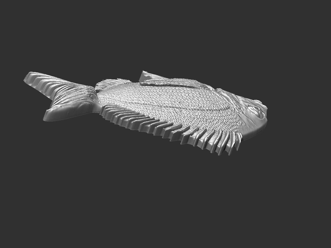 Fish Tilapia Relief 3D print model_7