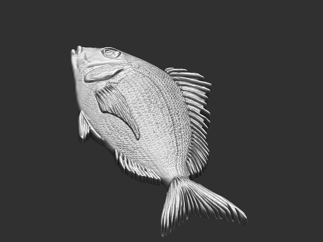 Fish Tilapia Relief 3D print model_10