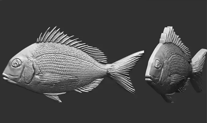Fish Tilapia Relief  3D print model