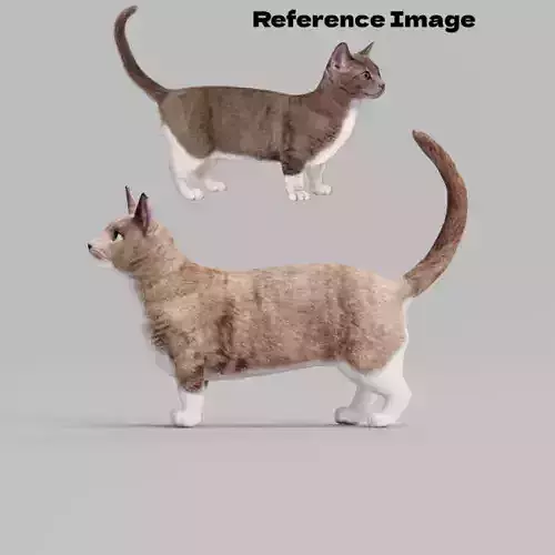 Munchkin Sausage Cat 3D model
