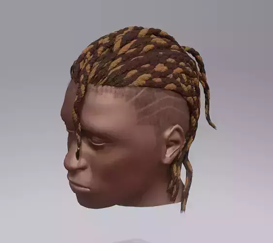 Male afro hair braids 3d Model - v05 Low-poly 3D model