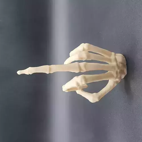 Skeleton Hand Middle Finger   3D print model