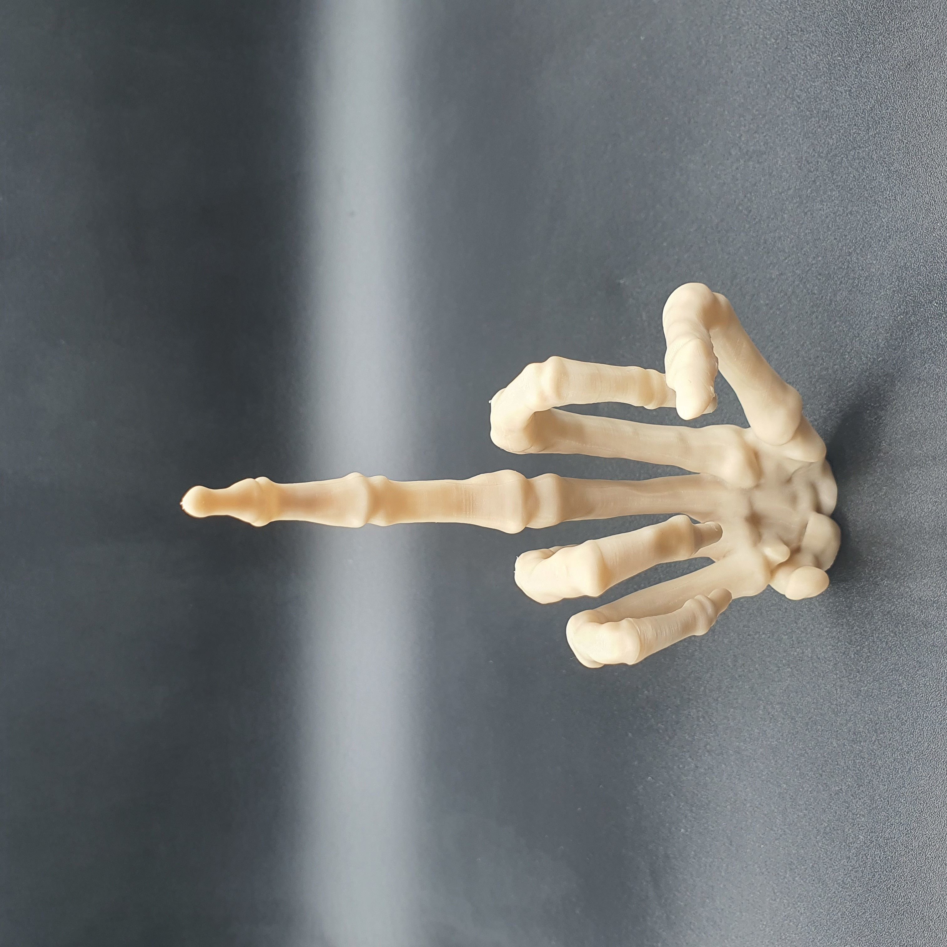 Skeleton Hand Middle Finger   3D print model_2
