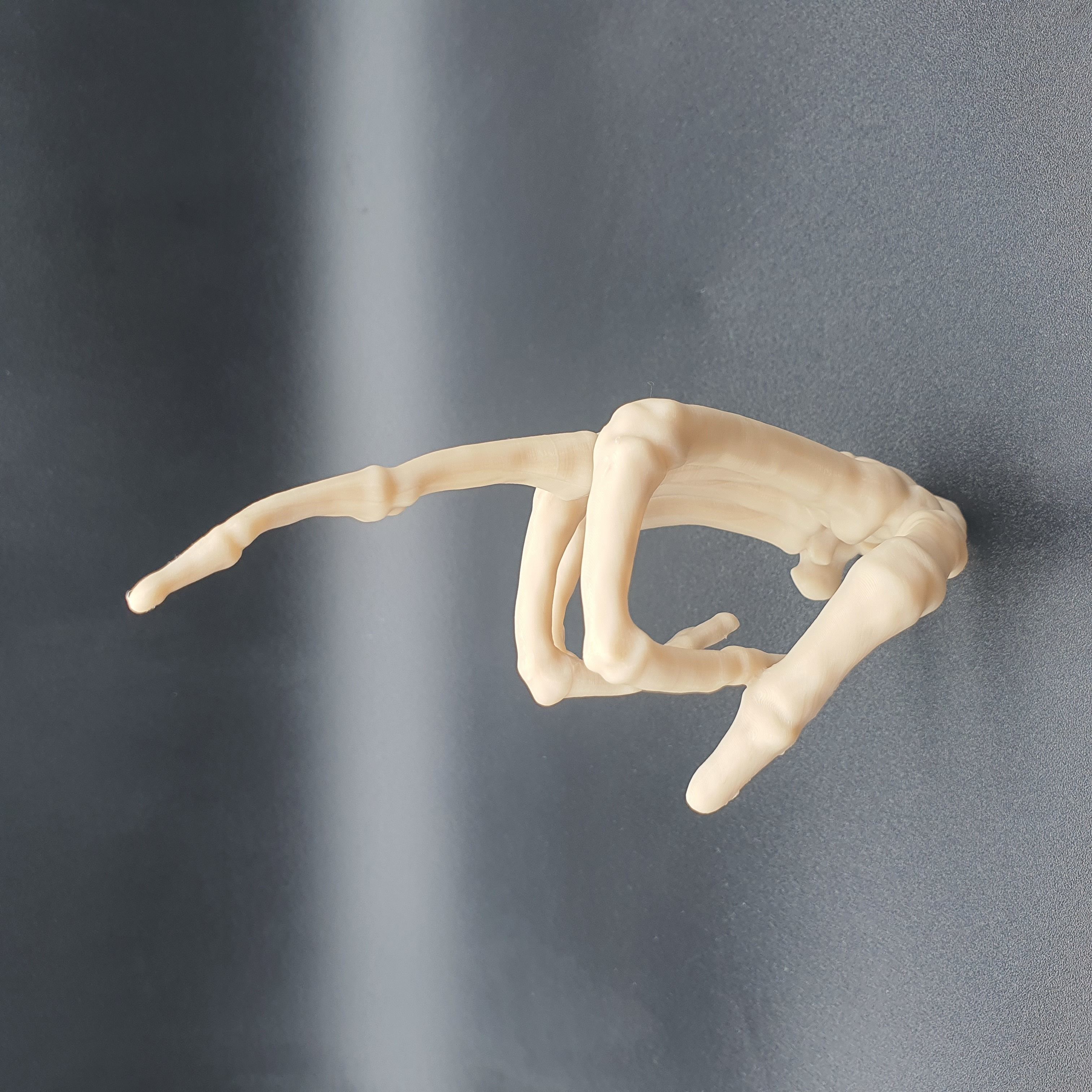 Skeleton Hand Middle Finger   3D print model_1