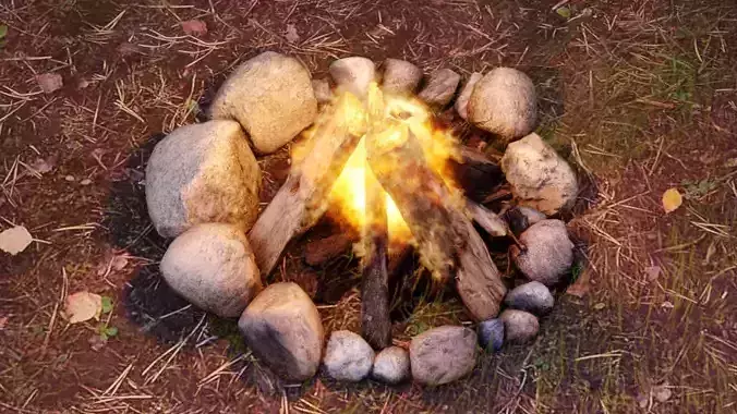 Realistic Campfire Low-poly 3D model