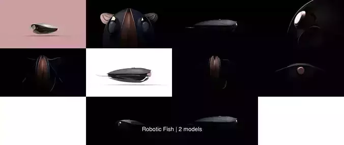 Robotic Fish