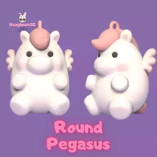 Round Pegasus