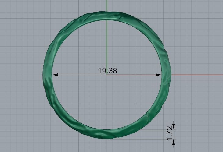 Ring Model 3627 3D print model_6