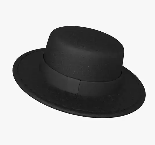 Black felt hat 