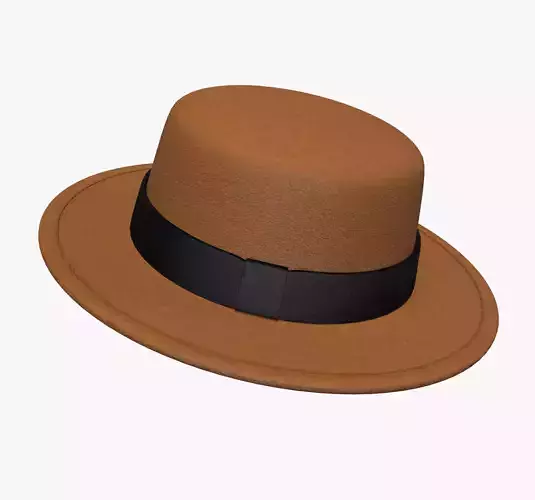 Brown felt hat 
