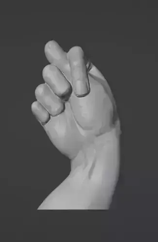 Realistic Hand Gesture Art 3D print model