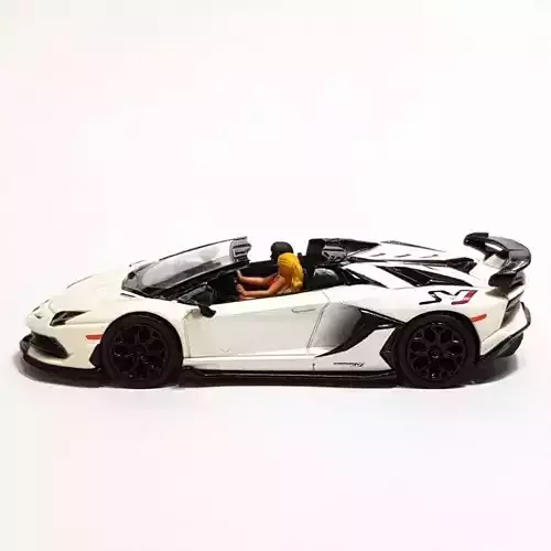 Figure Sage Passenger 1-64 Scale