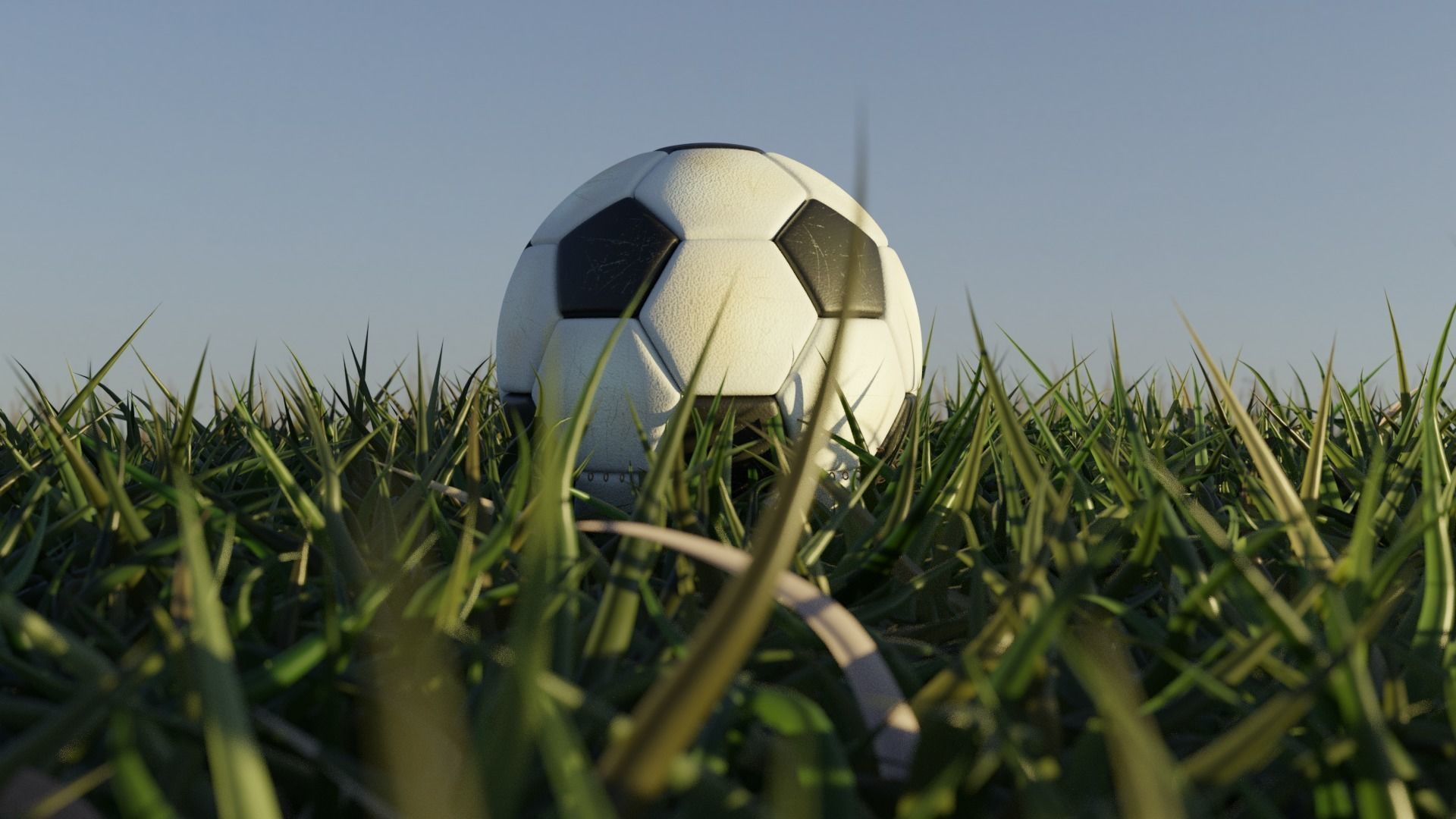 soccer ball 3D model_2