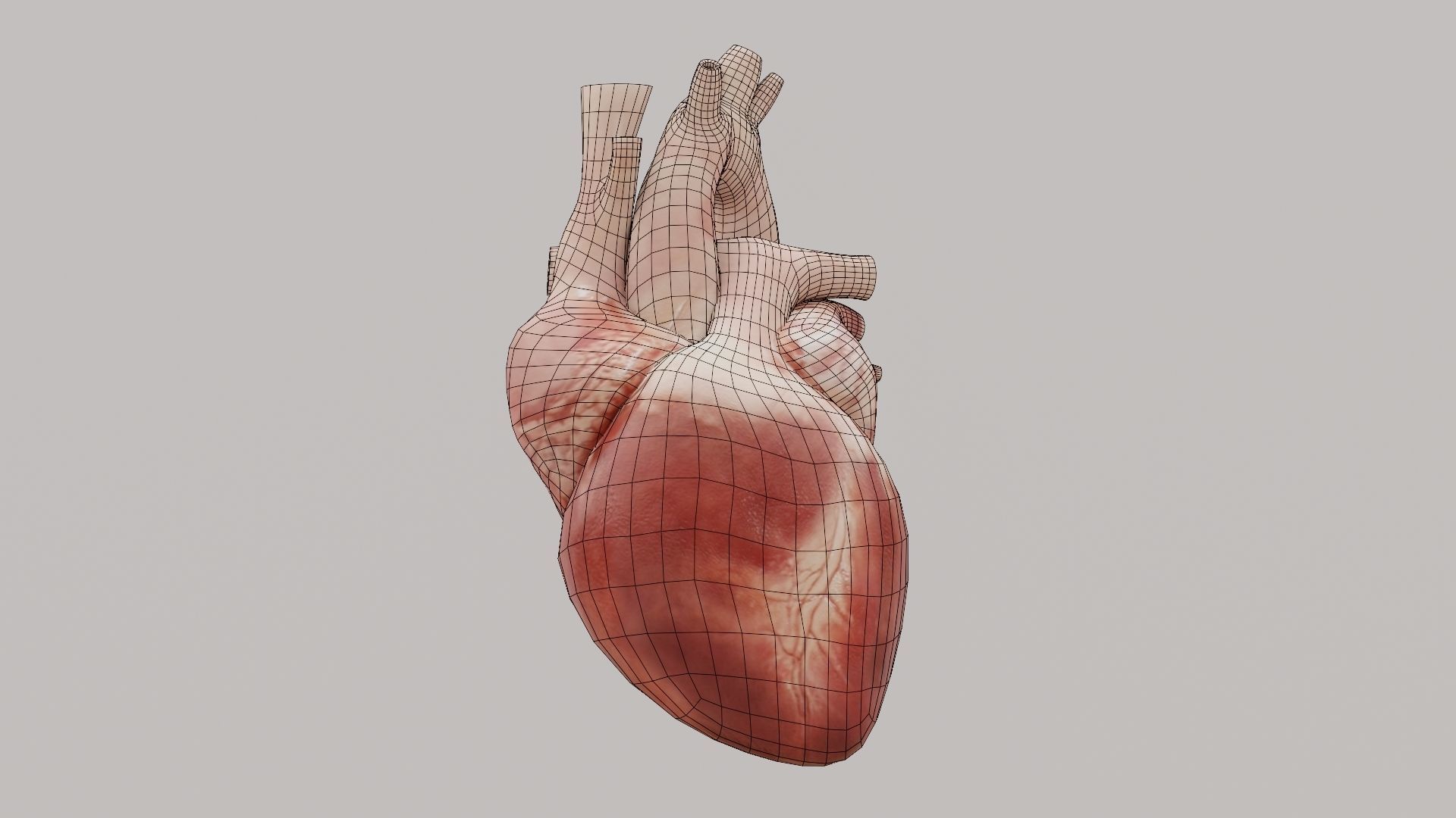 Real Low poly Human Heart Animated  Low-poly 3D model_8