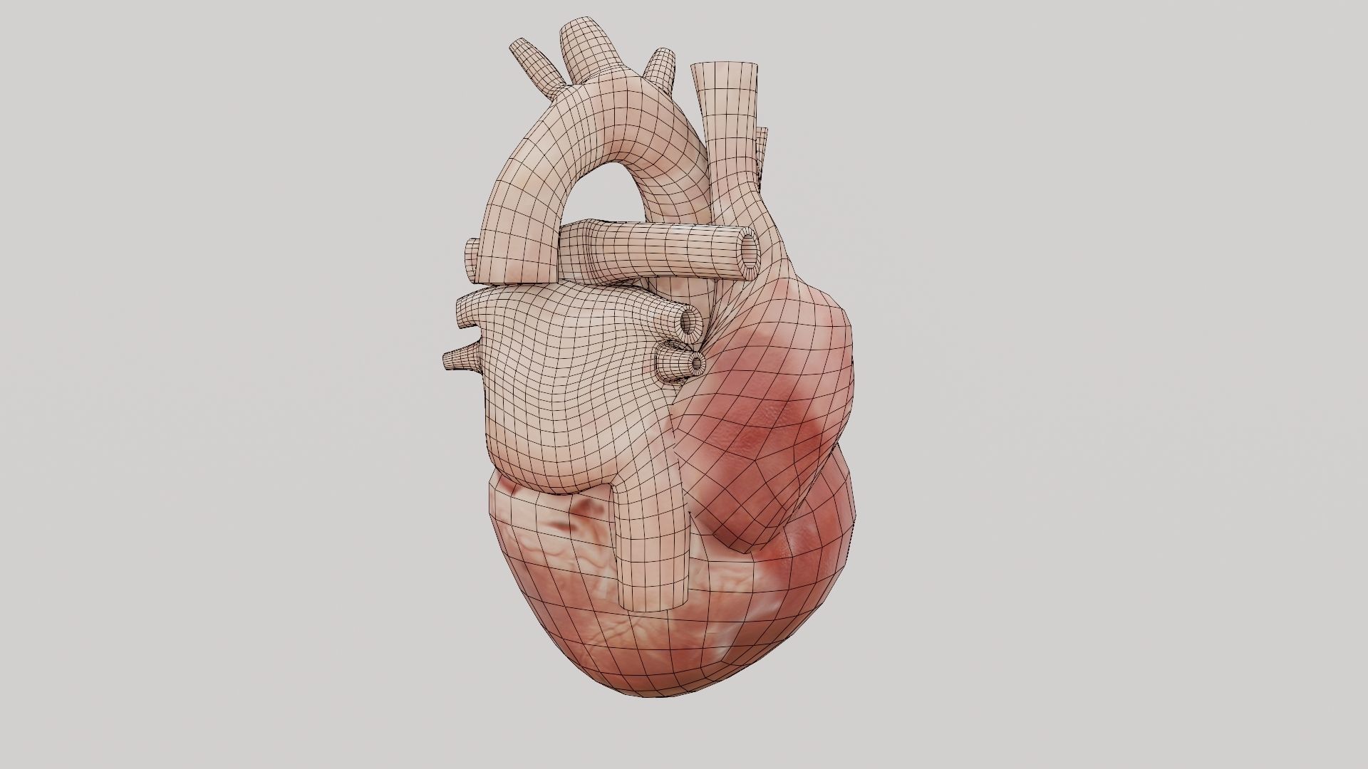 Real Low poly Human Heart Animated  Low-poly 3D model_14