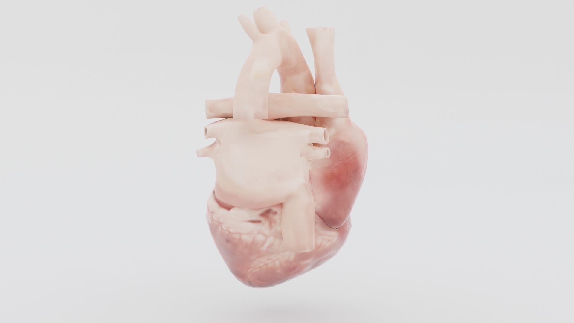 Real Low poly Human Heart Animated  Low-poly 3D model_5