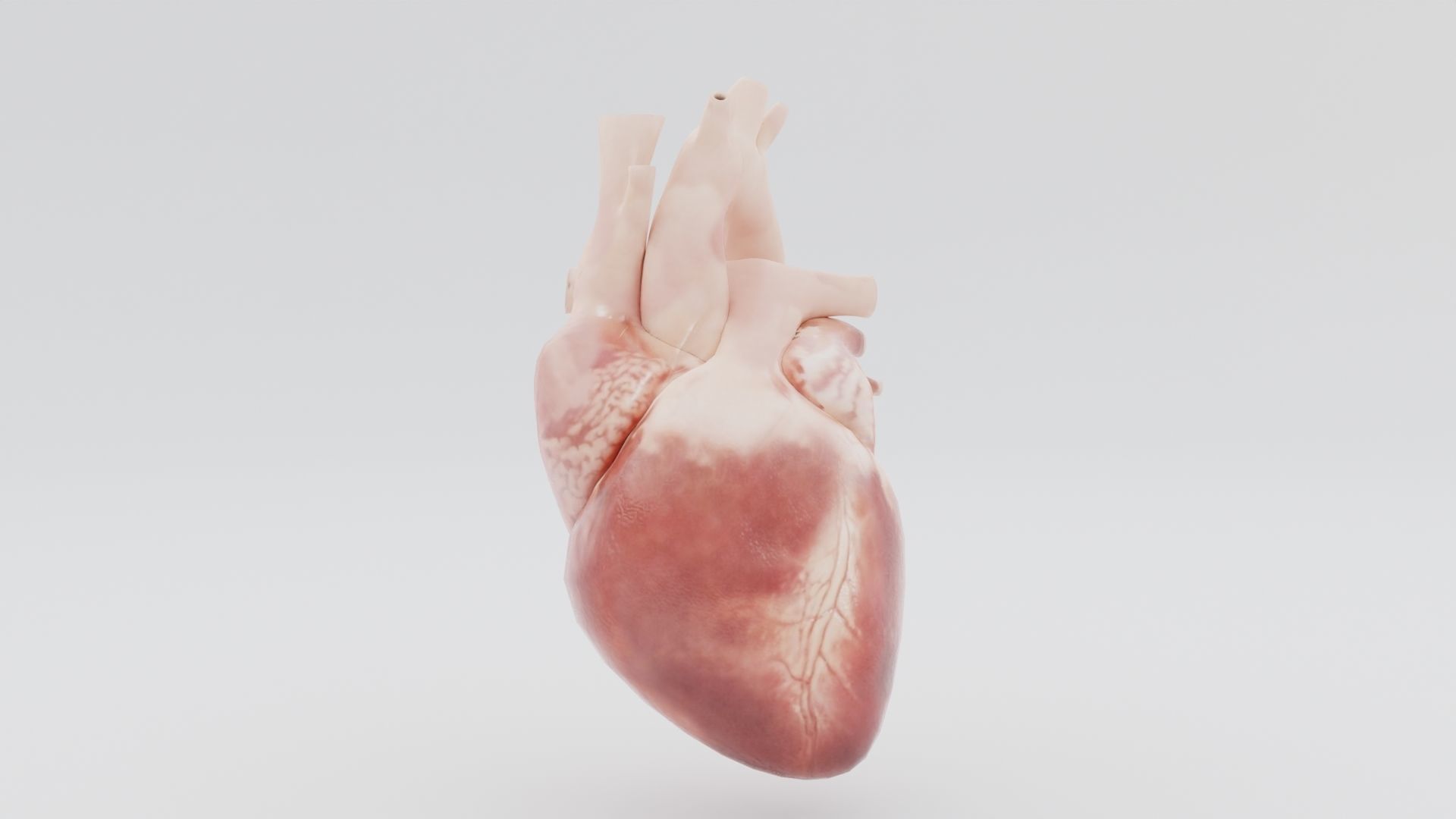Real Low poly Human Heart Animated  Low-poly 3D model_2