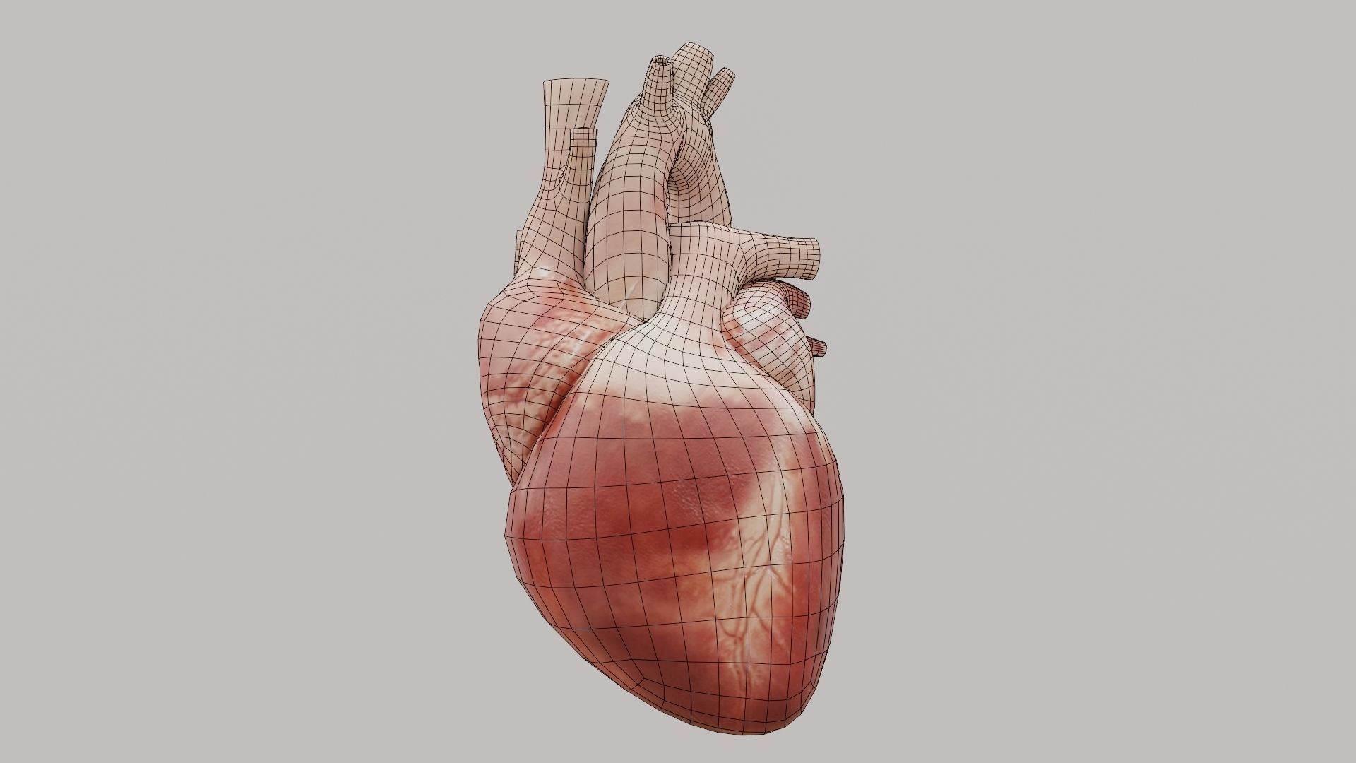 Real Low poly Human Heart Animated  Low-poly 3D model_9