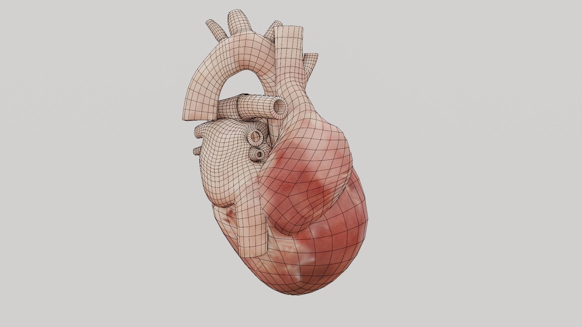 Real Low poly Human Heart Animated  Low-poly 3D model_15
