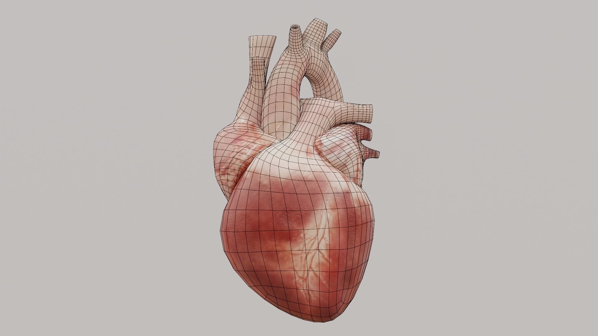 Real Low poly Human Heart Animated  Low-poly 3D model_11