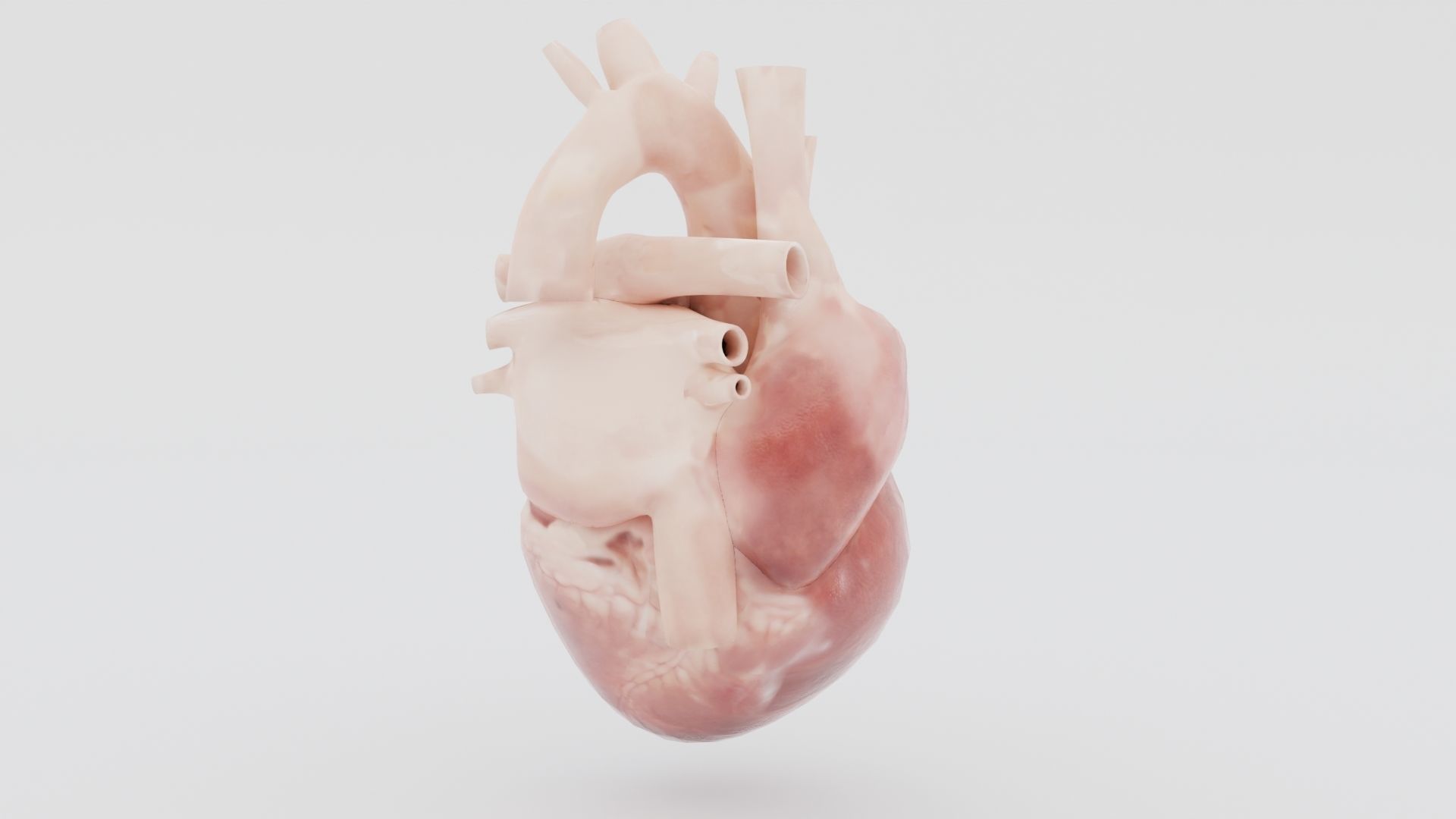 Real Low poly Human Heart Animated  Low-poly 3D model_6