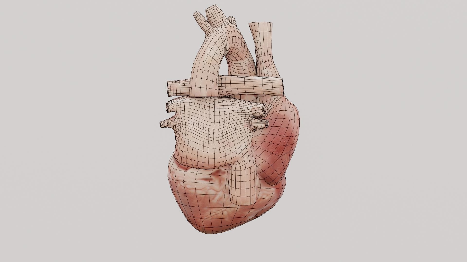 Real Low poly Human Heart Animated  Low-poly 3D model_13