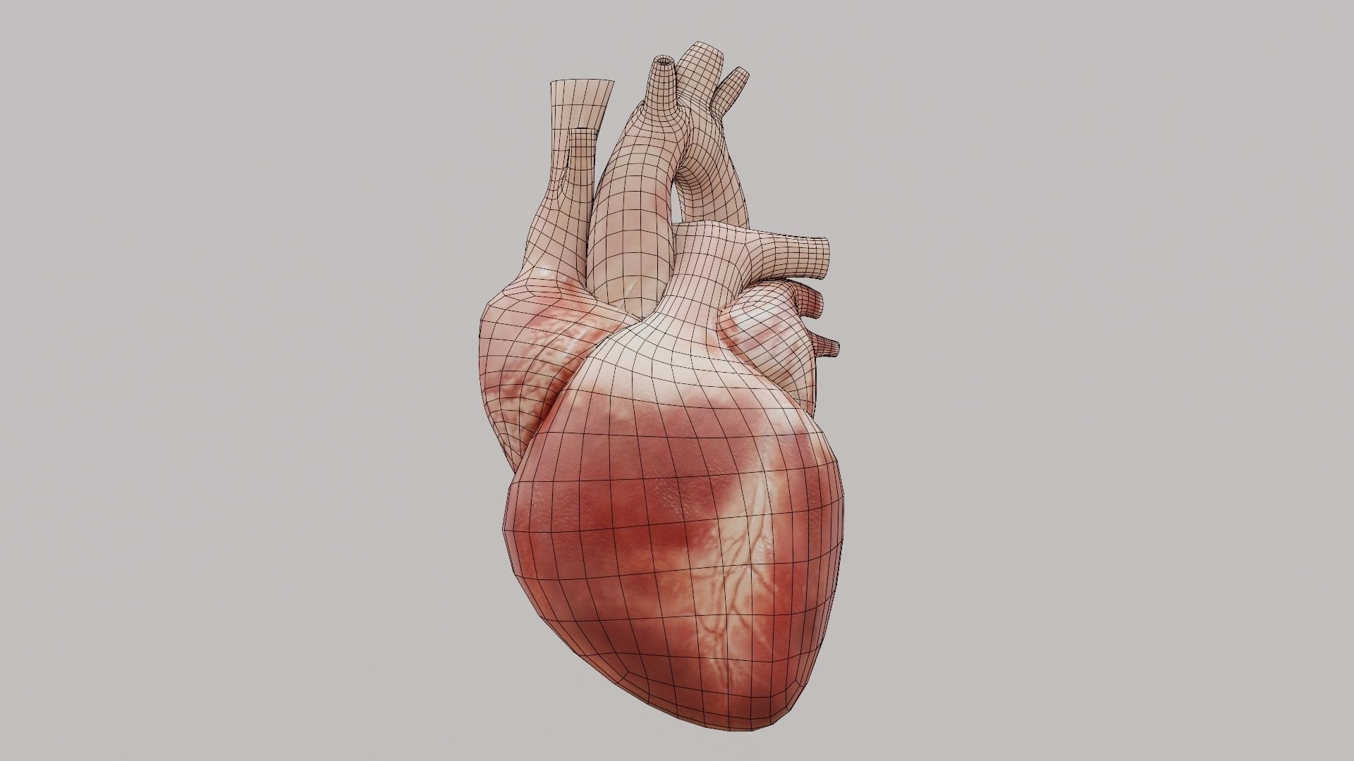 Real Low poly Human Heart Animated  Low-poly 3D model_10
