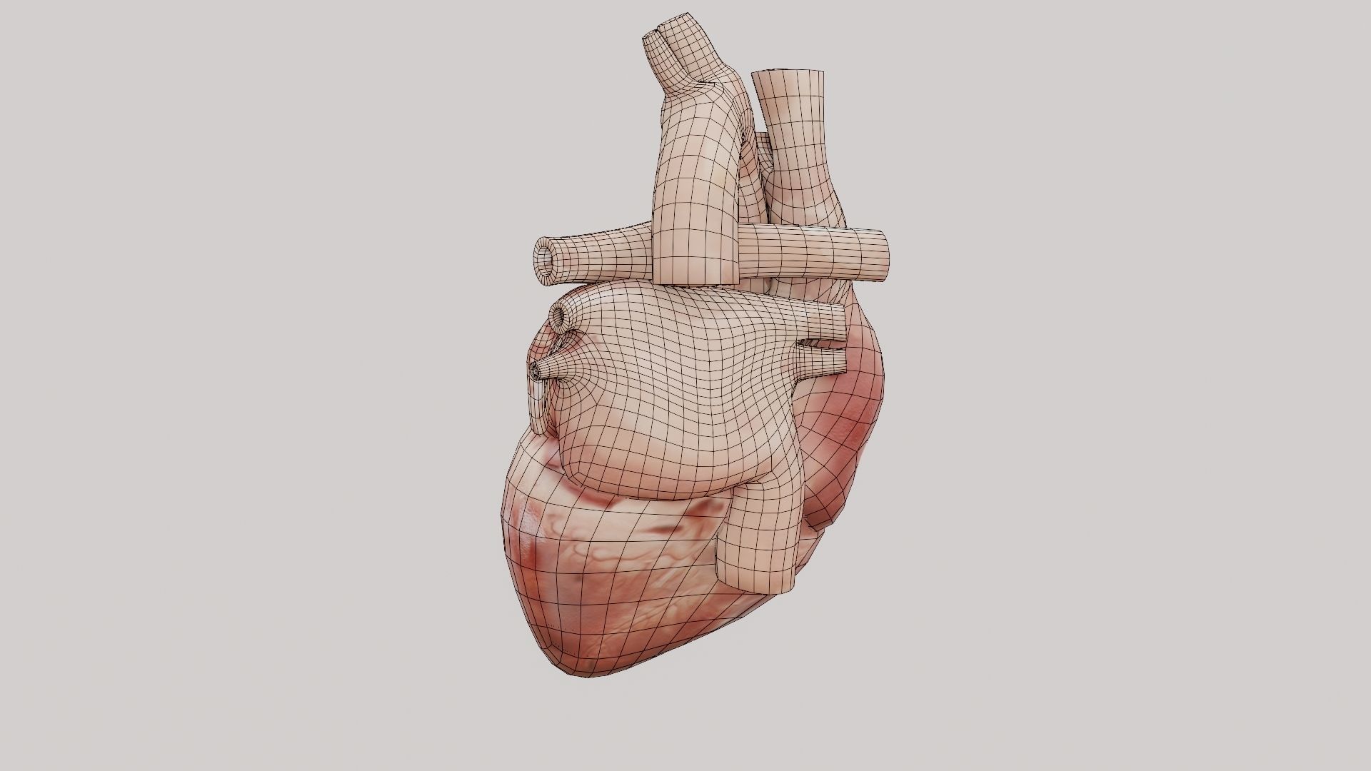 Real Low poly Human Heart Animated  Low-poly 3D model_12