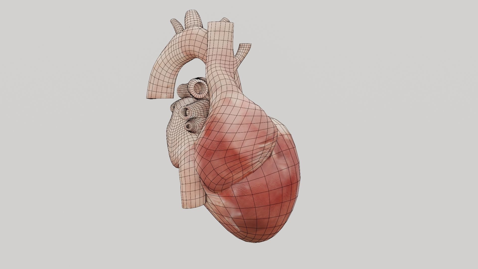 Real Low poly Human Heart Animated  Low-poly 3D model_16