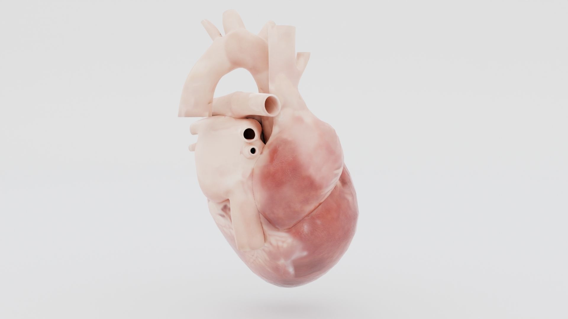 Real Low poly Human Heart Animated  Low-poly 3D model_7