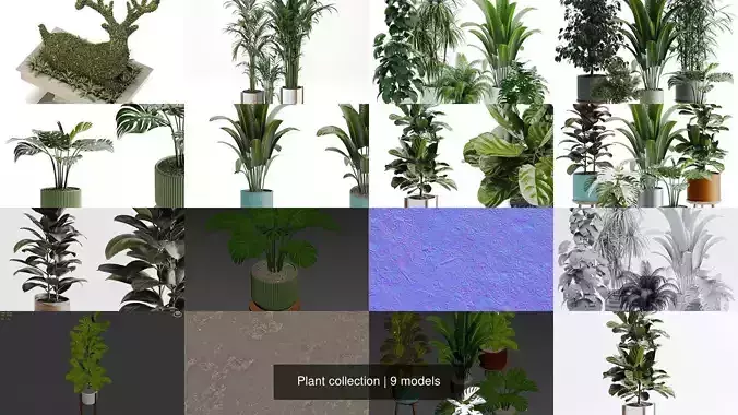 Plant collection