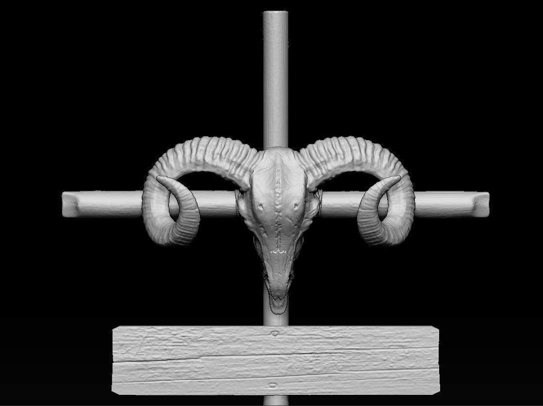 Pointer Ram Skull 3D print model_5