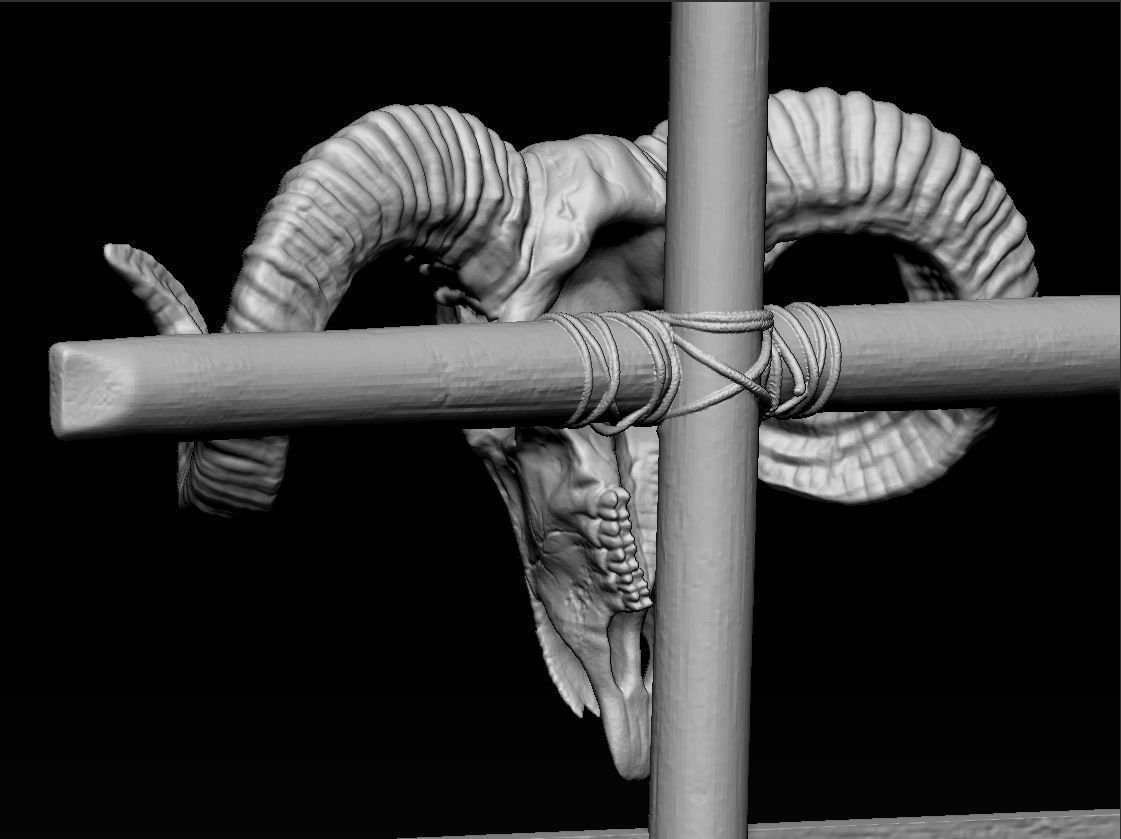 Pointer Ram Skull 3D print model_3