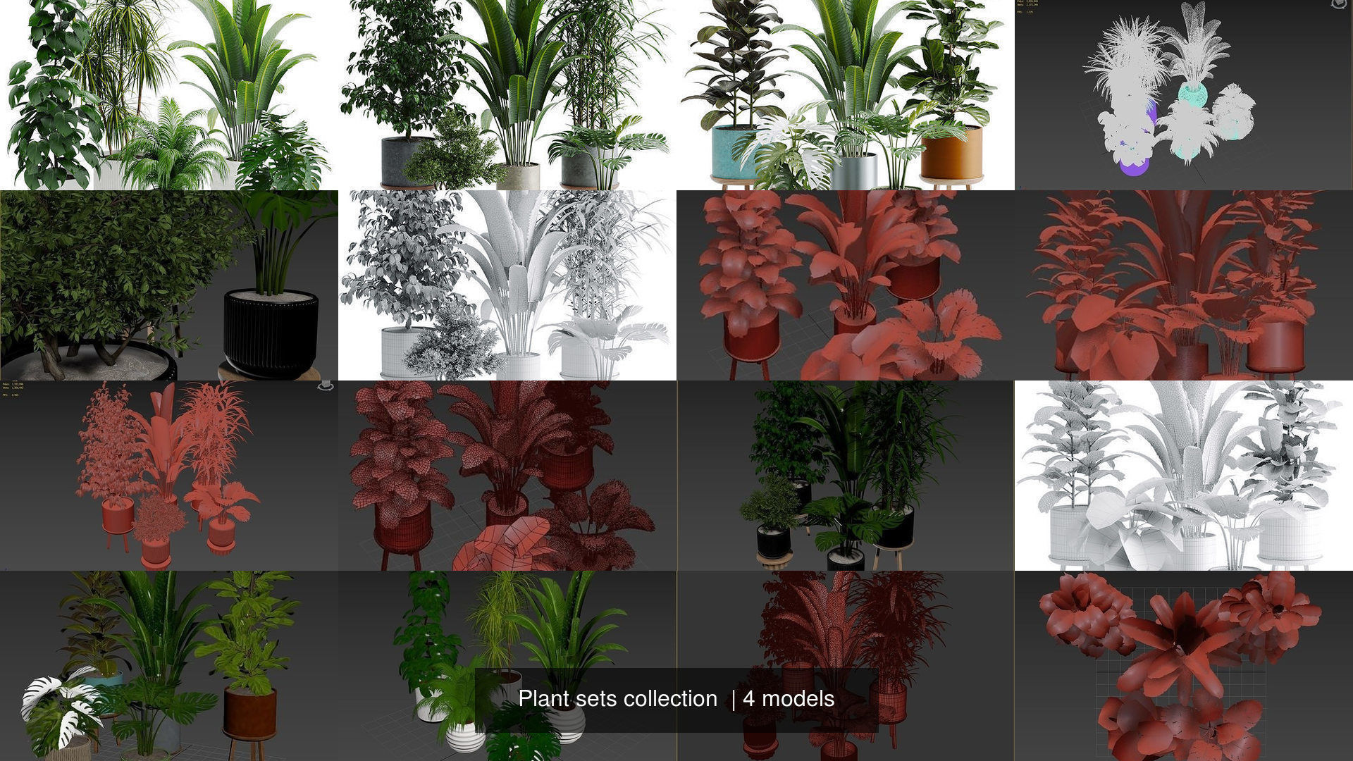 Plant sets collection  _4