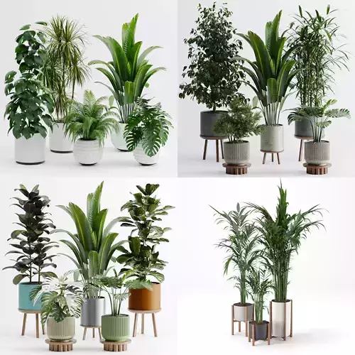 Plant sets collection 