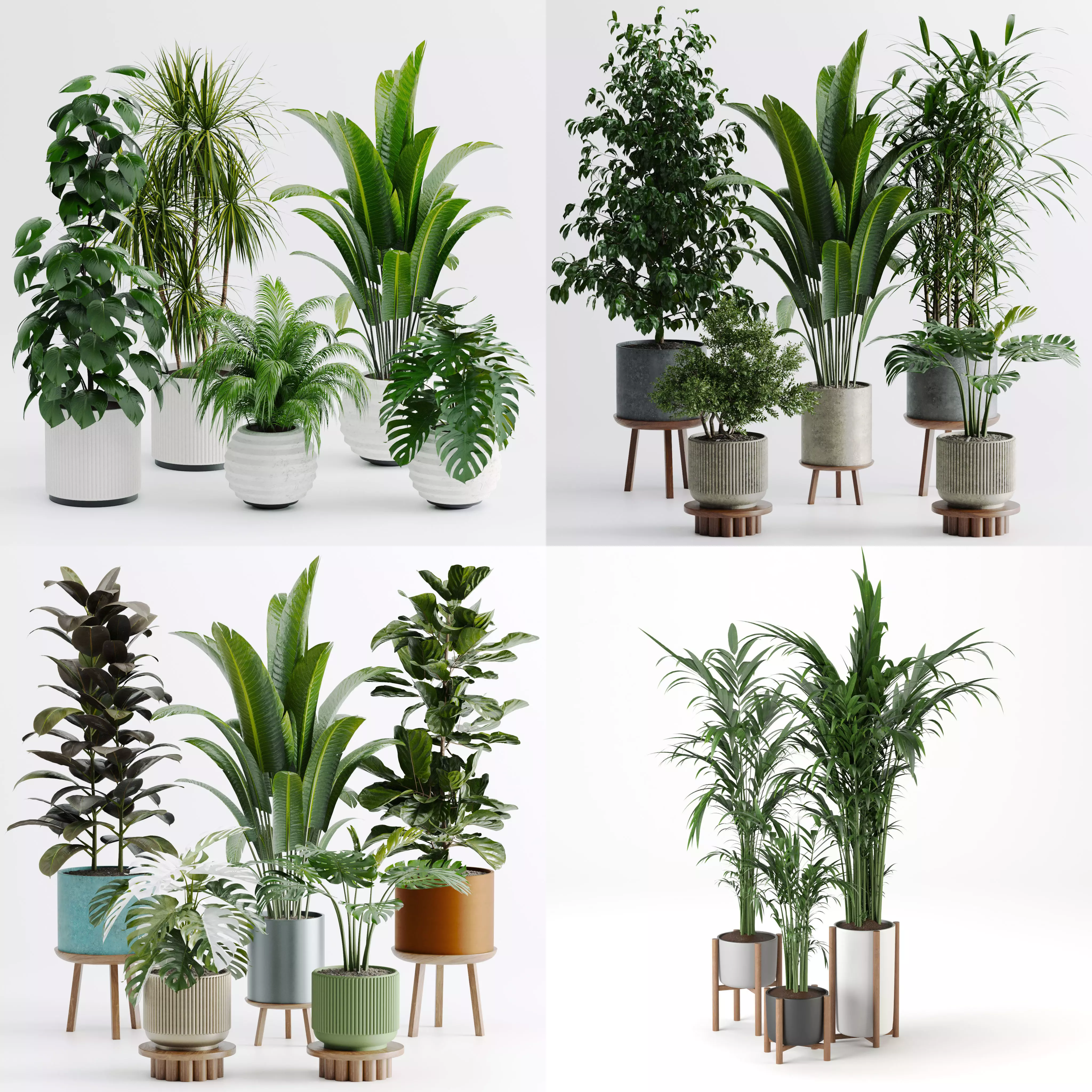 Plant sets collection  _0