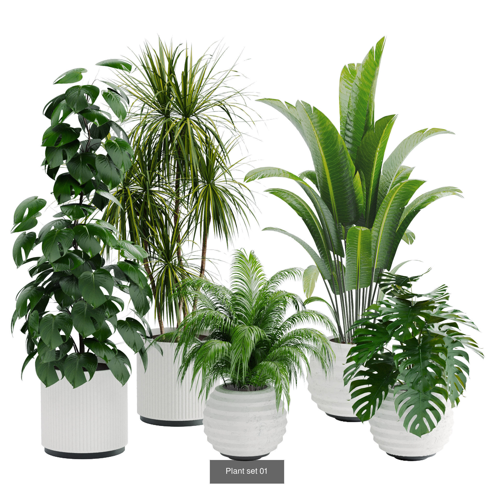 Plant sets collection  _5